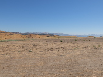 Enlarge photo 45