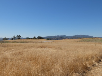Enlarge photo 47
