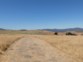 Enlarge photo 48