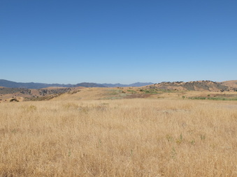 Enlarge photo 49