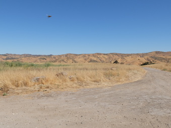Enlarge photo 51