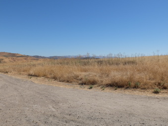 Enlarge photo 52