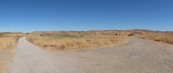 Enlarge photo 53