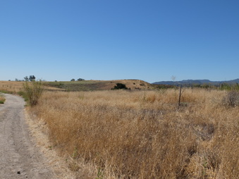 Enlarge photo 56