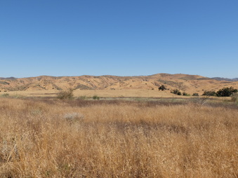 Enlarge photo 59