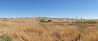 Enlarge photo 60