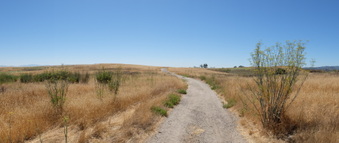 Enlarge photo 61
