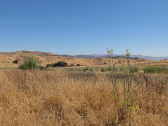 Enlarge photo 63