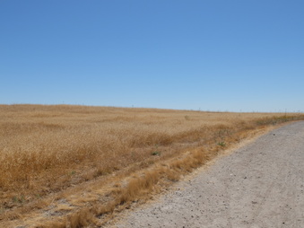 Enlarge photo 66