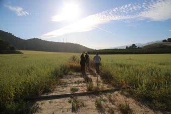Newhall Field 1