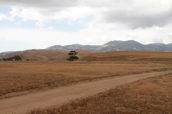 Enlarge photo 50