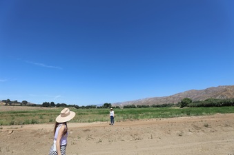 Enlarge photo 2