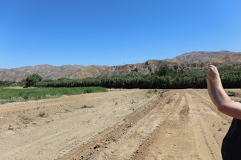 Enlarge photo 6