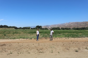 Enlarge photo 8