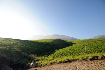 Enlarge photo 17