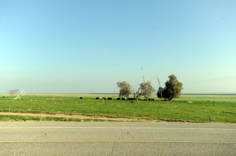Enlarge photo 29