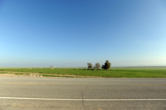 Enlarge photo 30