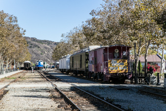 Enlarge photo 114
