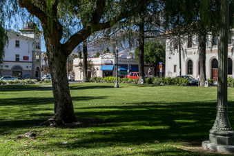 Enlarge photo 117