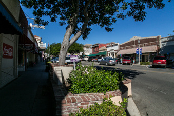 Enlarge photo 191