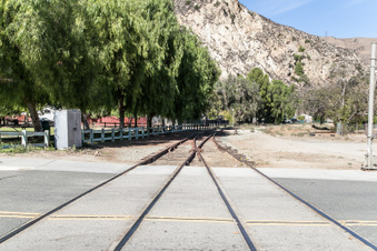 Enlarge photo 93