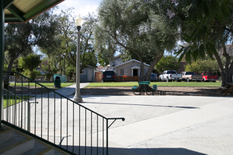 Enlarge photo 99