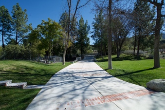 Enlarge photo 10