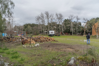 Enlarge photo 13