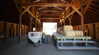 Enlarge photo 17