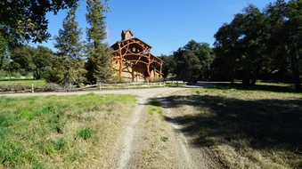Bear Lodge