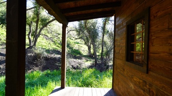 Enlarge photo 10