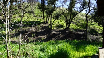 Enlarge photo 13