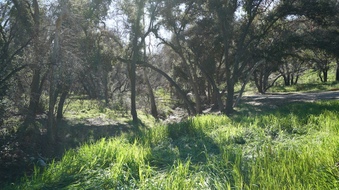 Enlarge photo 15