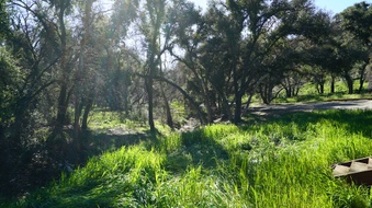 Enlarge photo 16