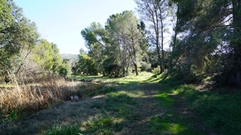 Enlarge photo 2