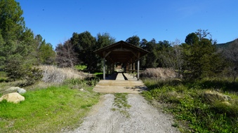 Enlarge photo 4