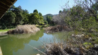Enlarge photo 5