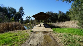 Enlarge photo 8