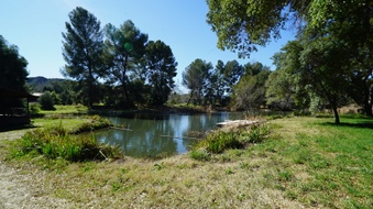 Enlarge photo 9