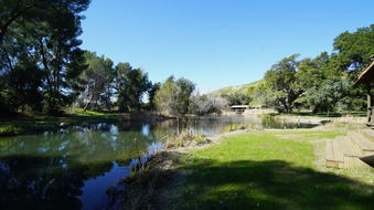 Enlarge photo 23