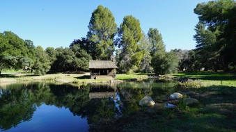 Enlarge photo 28