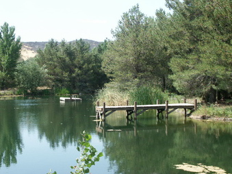 Enlarge photo 2