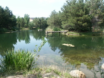 Enlarge photo 3