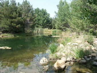 Enlarge photo 4
