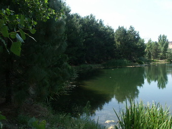 Enlarge photo 5