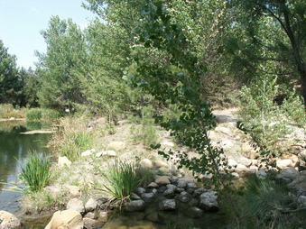 Enlarge photo 6