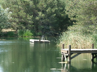 Enlarge photo 9