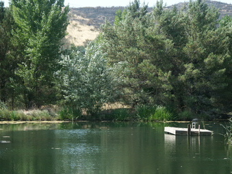 Enlarge photo 11