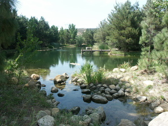 Enlarge photo 12