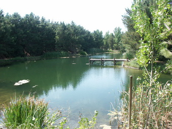 Enlarge photo 13